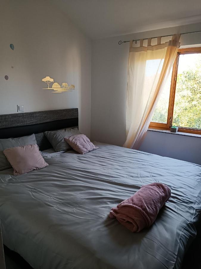 Apartman Brigita Apartment Biograd Na Moru Ngoại thất bức ảnh
